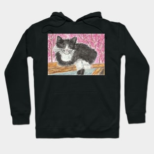 Tuxedo cat Hoodie